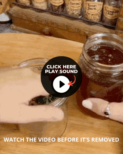 Honey Ritual Video